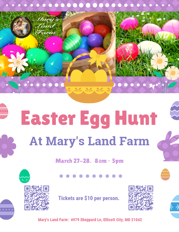 Easter Egg Hunt | Mary's Land Farm